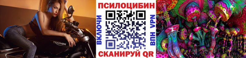 Галлюциногенные грибы Psilocybine cubensis  Шахунья 